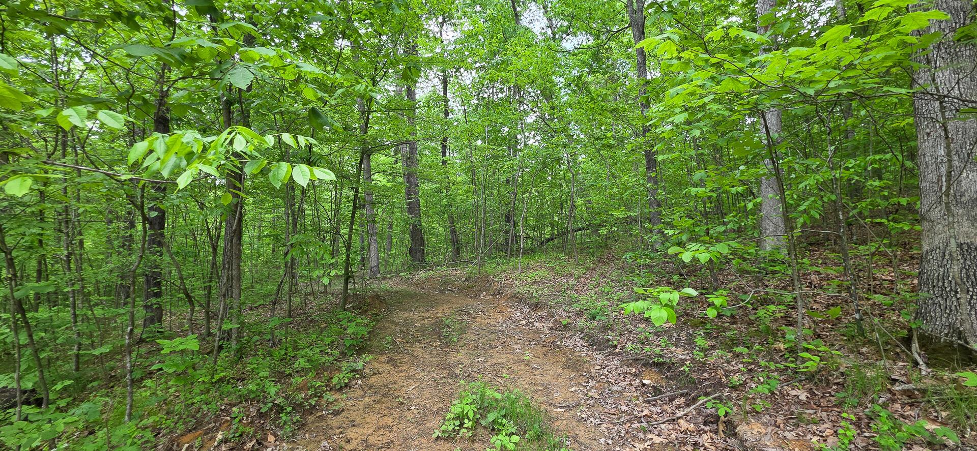 Edmudson Road #TRACT 1 PHASE 2 BIG TIMBE, Langsville, Ohio image 21