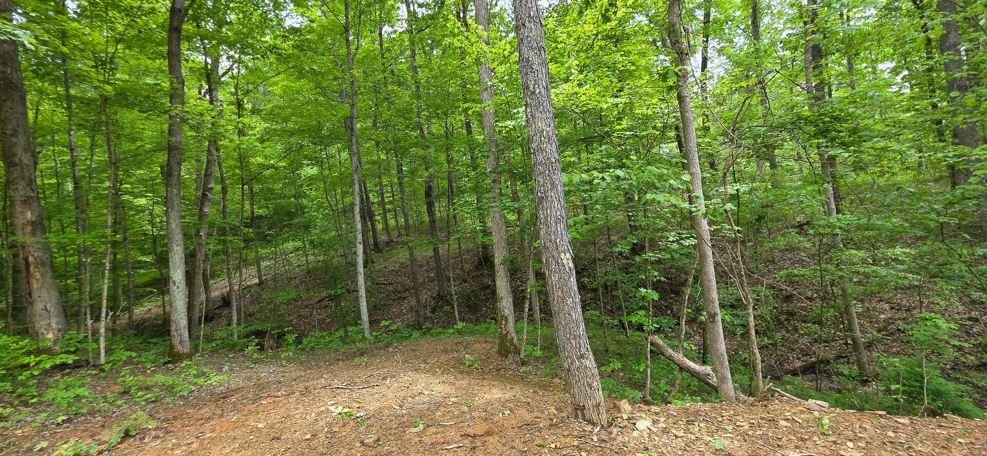 Edmudson Road #TRACT 1 PHASE 2 BIG TIMBE, Langsville, Ohio image 48