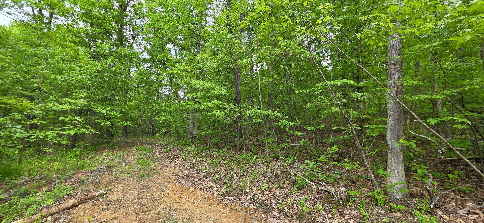 Edmudson Road #TRACT 1 PHASE 2 BIG TIMBE, Langsville, Ohio image 17