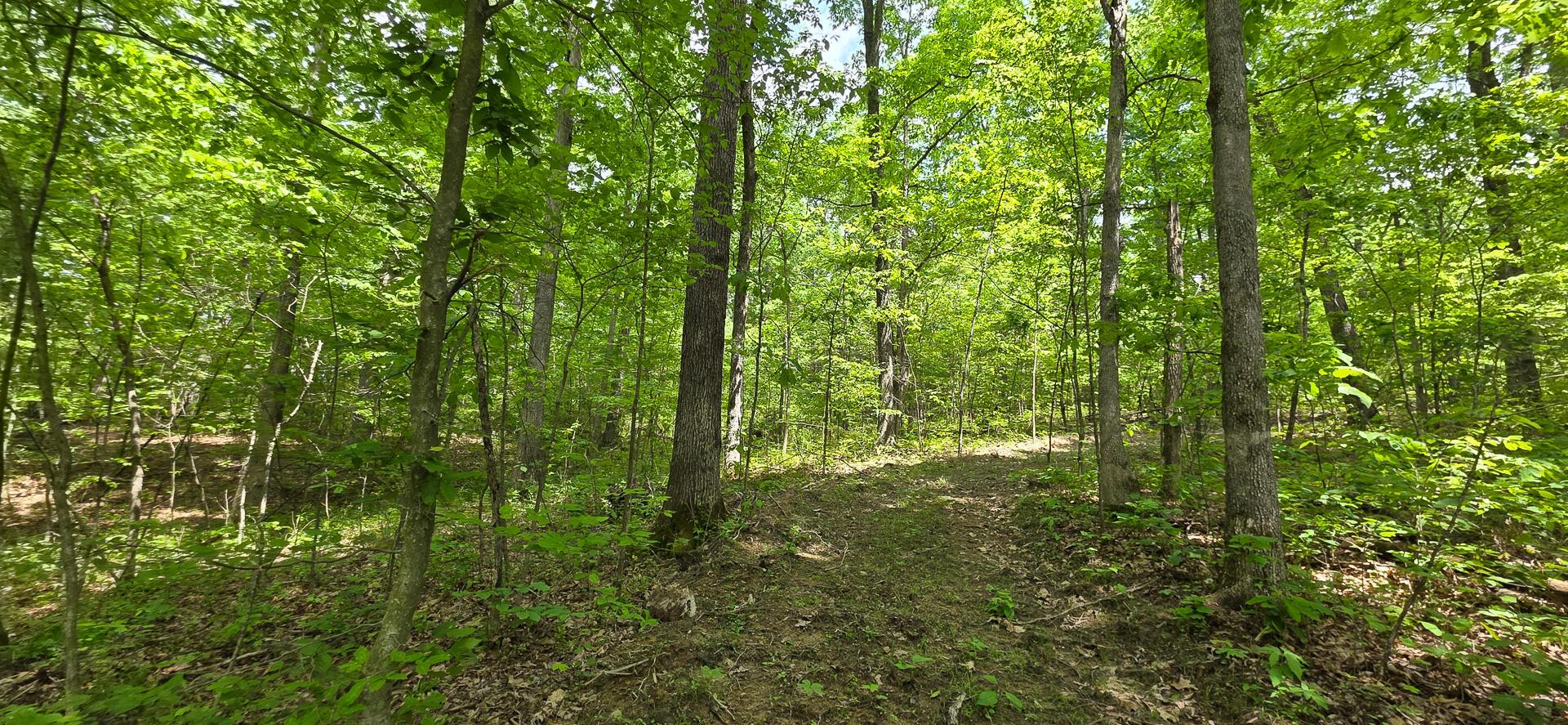 Edmudson Road #TRACT 1 PHASE 2 BIG TIMBE, Langsville, Ohio image 37