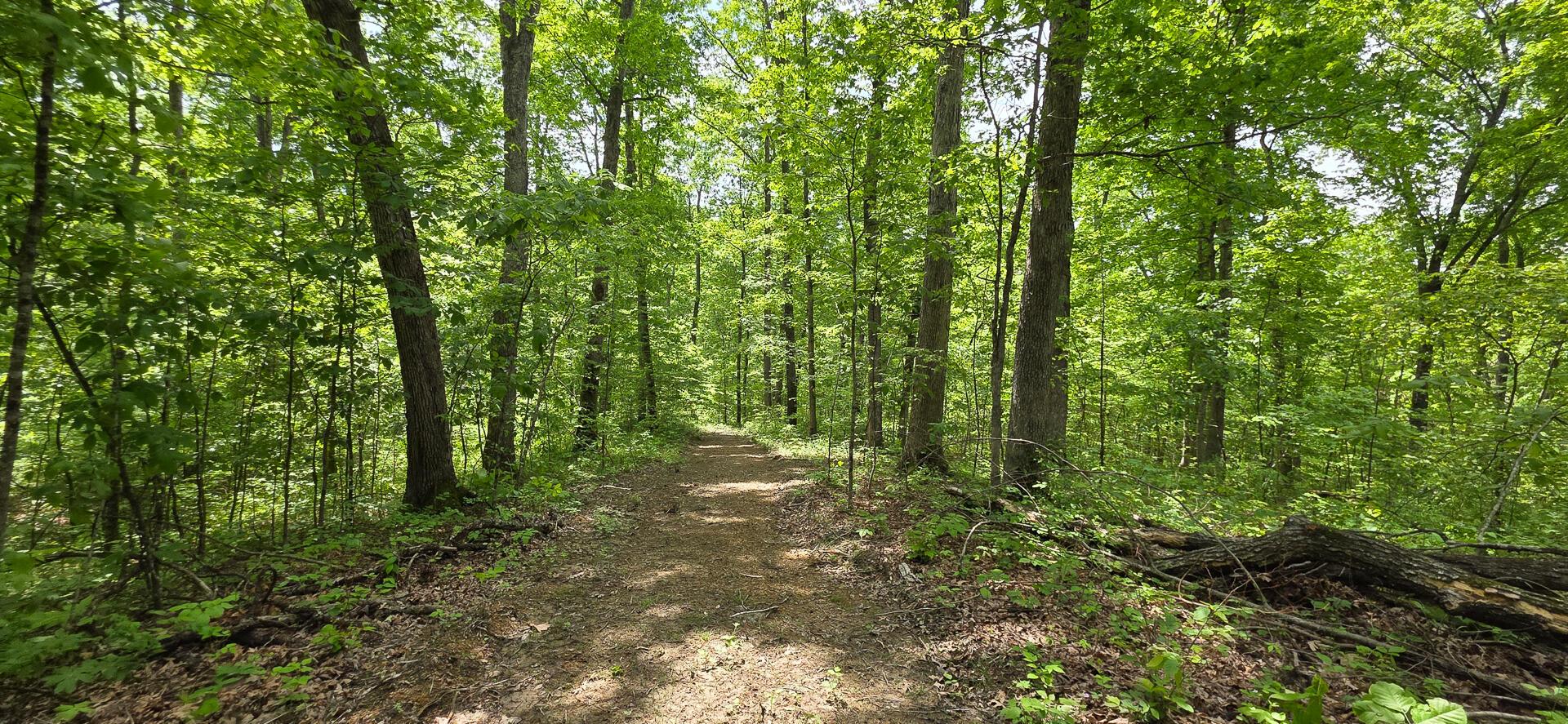 Edmudson Road #TRACT 1 PHASE 2 BIG TIMBE, Langsville, Ohio image 36