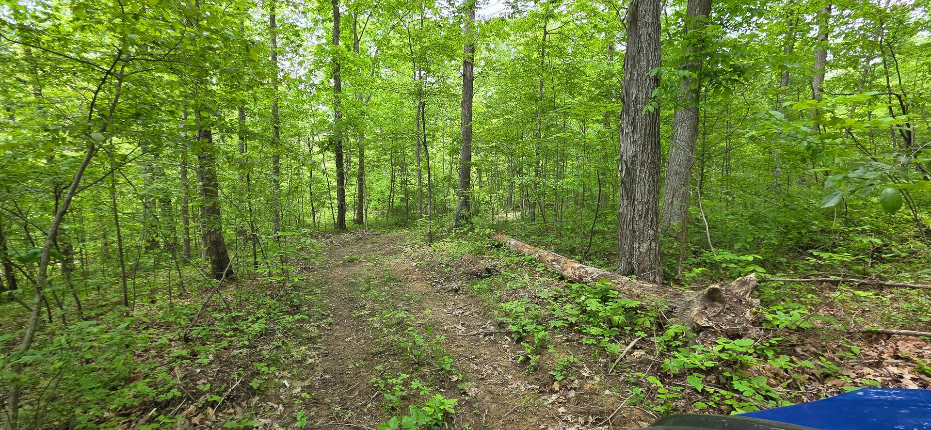 Edmudson Road #TRACT 1 PHASE 2 BIG TIMBE, Langsville, Ohio image 24