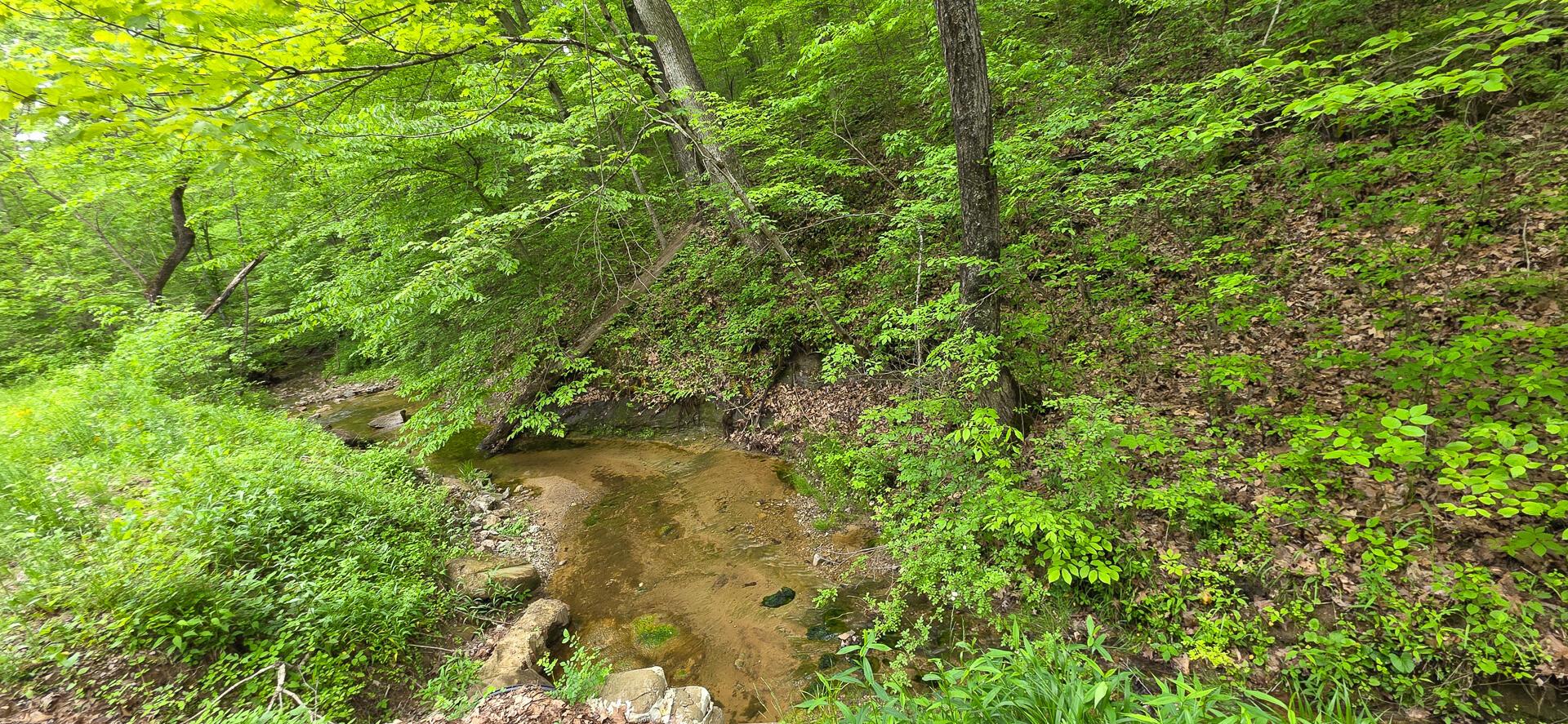 Edmudson Road #TRACT 1 PHASE 2 BIG TIMBE, Langsville, Ohio image 18