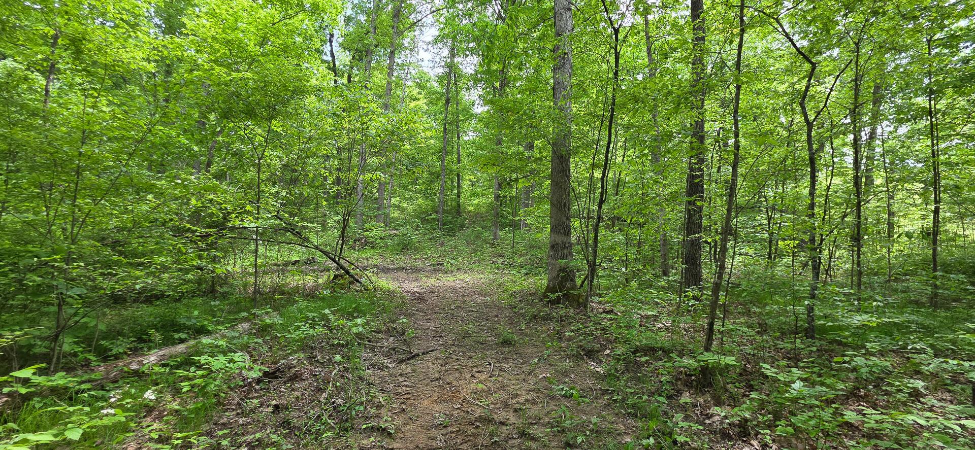 Edmudson Road #TRACT 1 PHASE 2 BIG TIMBE, Langsville, Ohio image 27