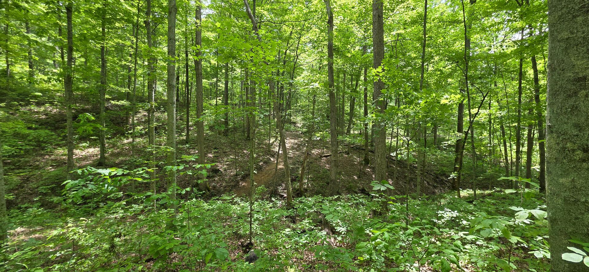 Edmudson Road #TRACT 1 PHASE 2 BIG TIMBE, Langsville, Ohio image 42