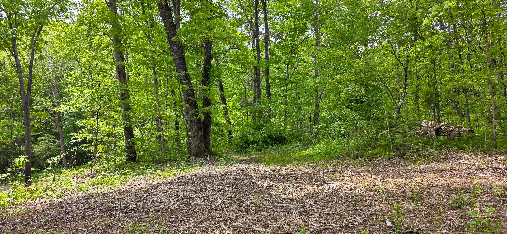 Edmudson Road #TRACT 1 PHASE 2 BIG TIMBE, Langsville, Ohio image 50