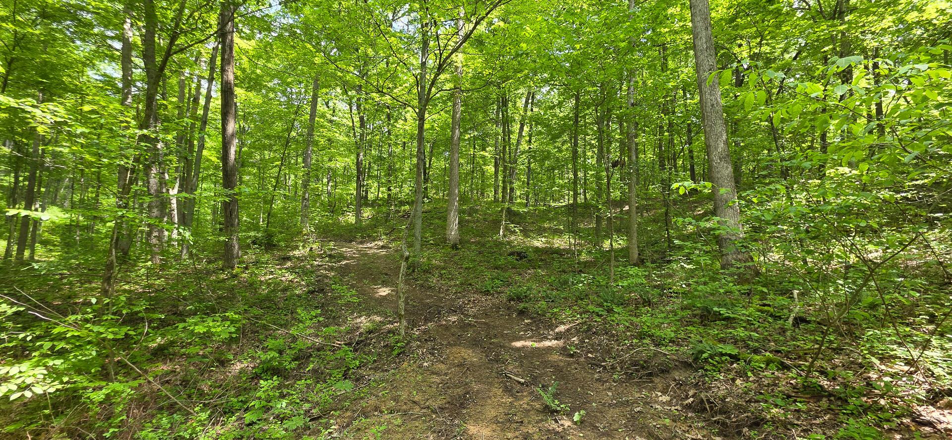 Edmudson Road #TRACT 1 PHASE 2 BIG TIMBE, Langsville, Ohio image 4