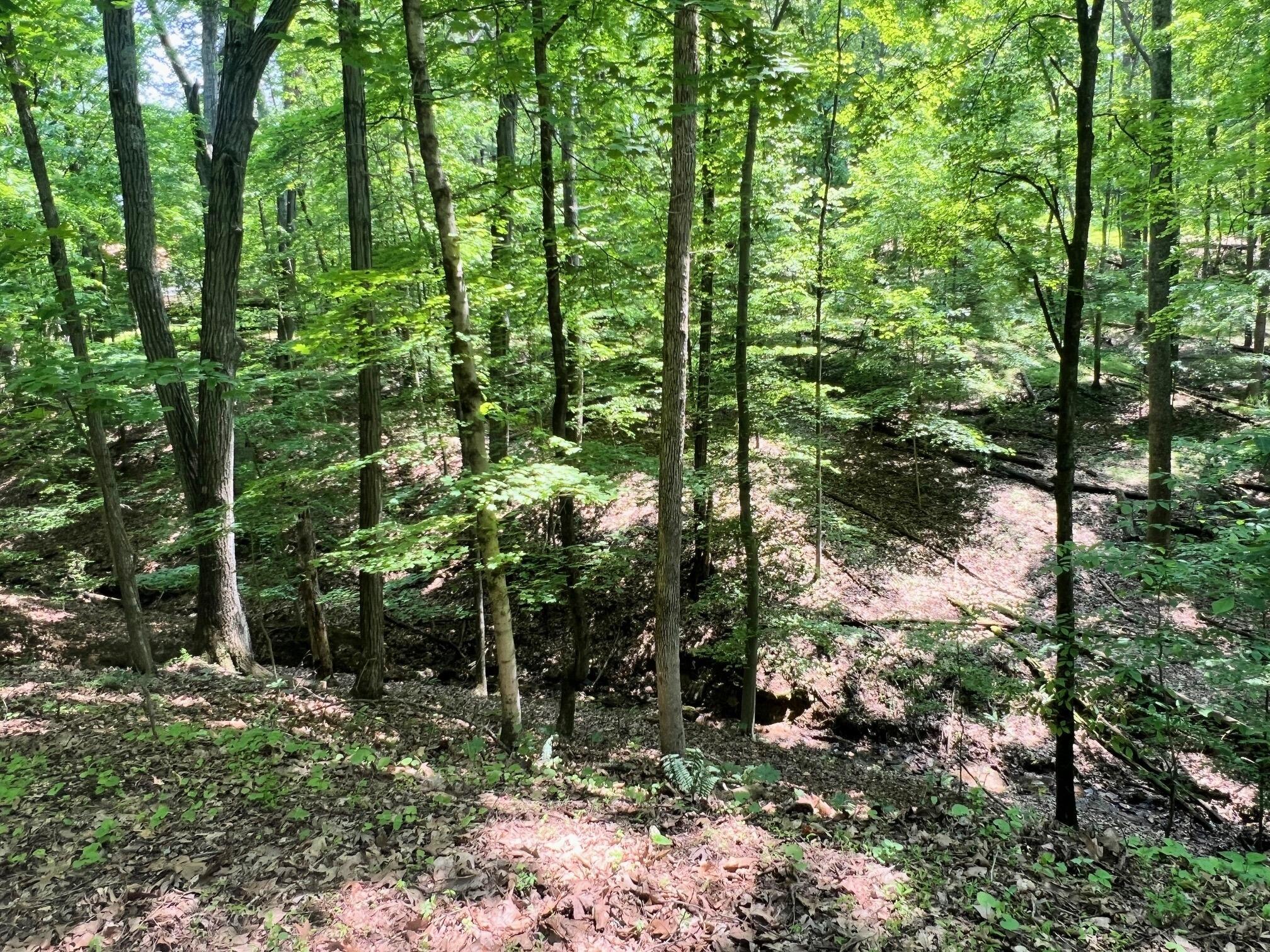 144 Hide-a-way Road, Sugar Grove, Ohio image 3