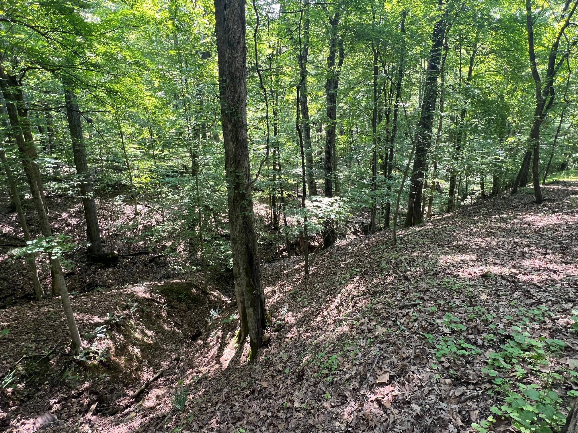 144 Hide-a-way Road, Sugar Grove, Ohio image 4
