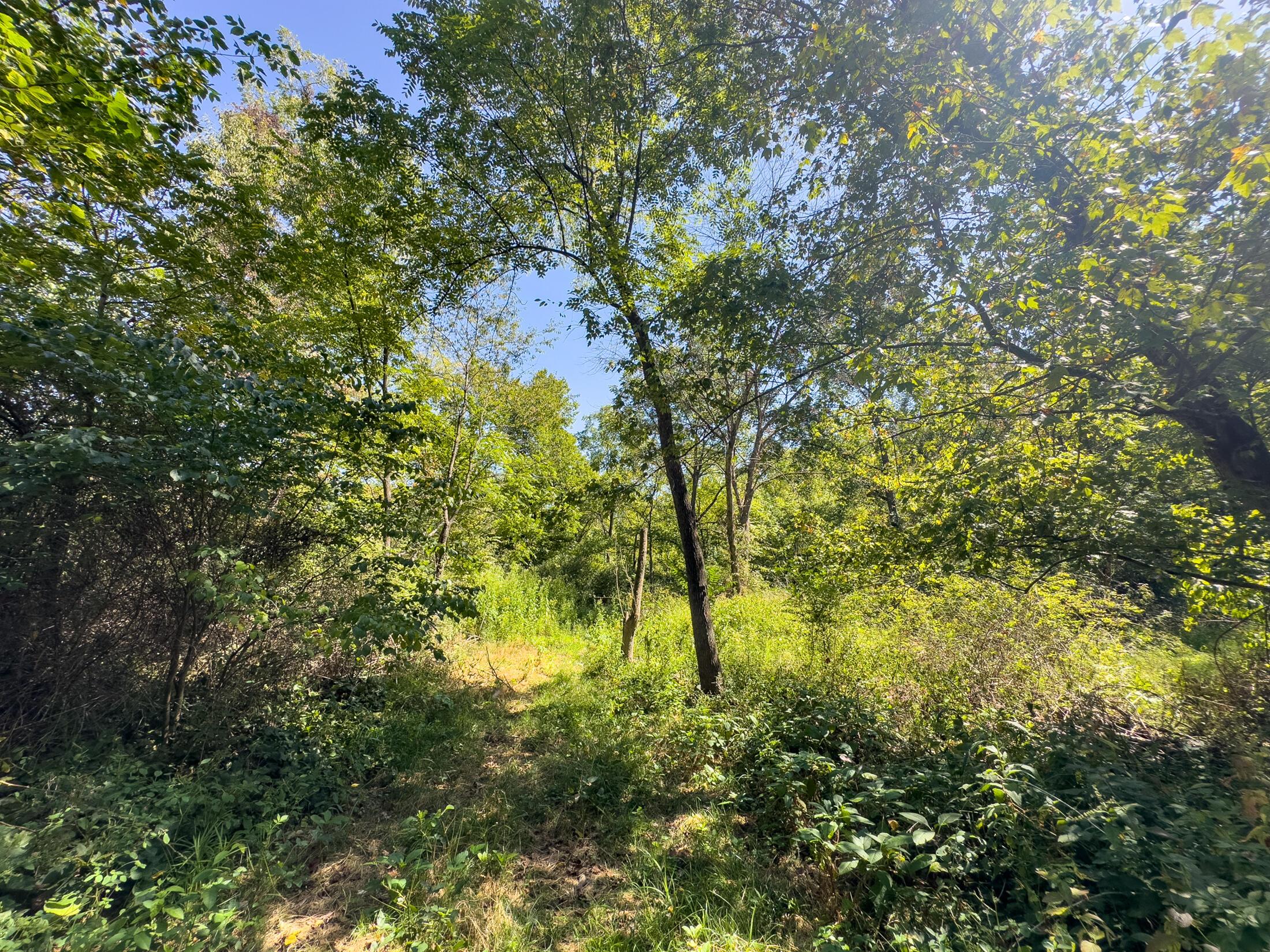 Black Road, Hopewell, Ohio image 29