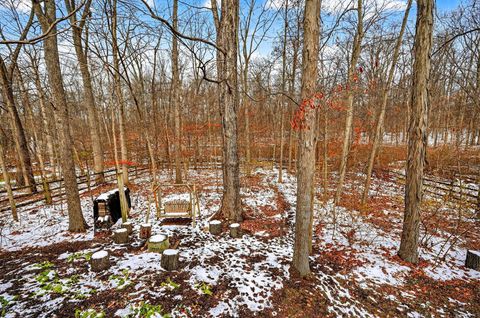 Tiny photo for 2070 Bryton Drive, Powell, OH 43065 (MLS # 225045427)