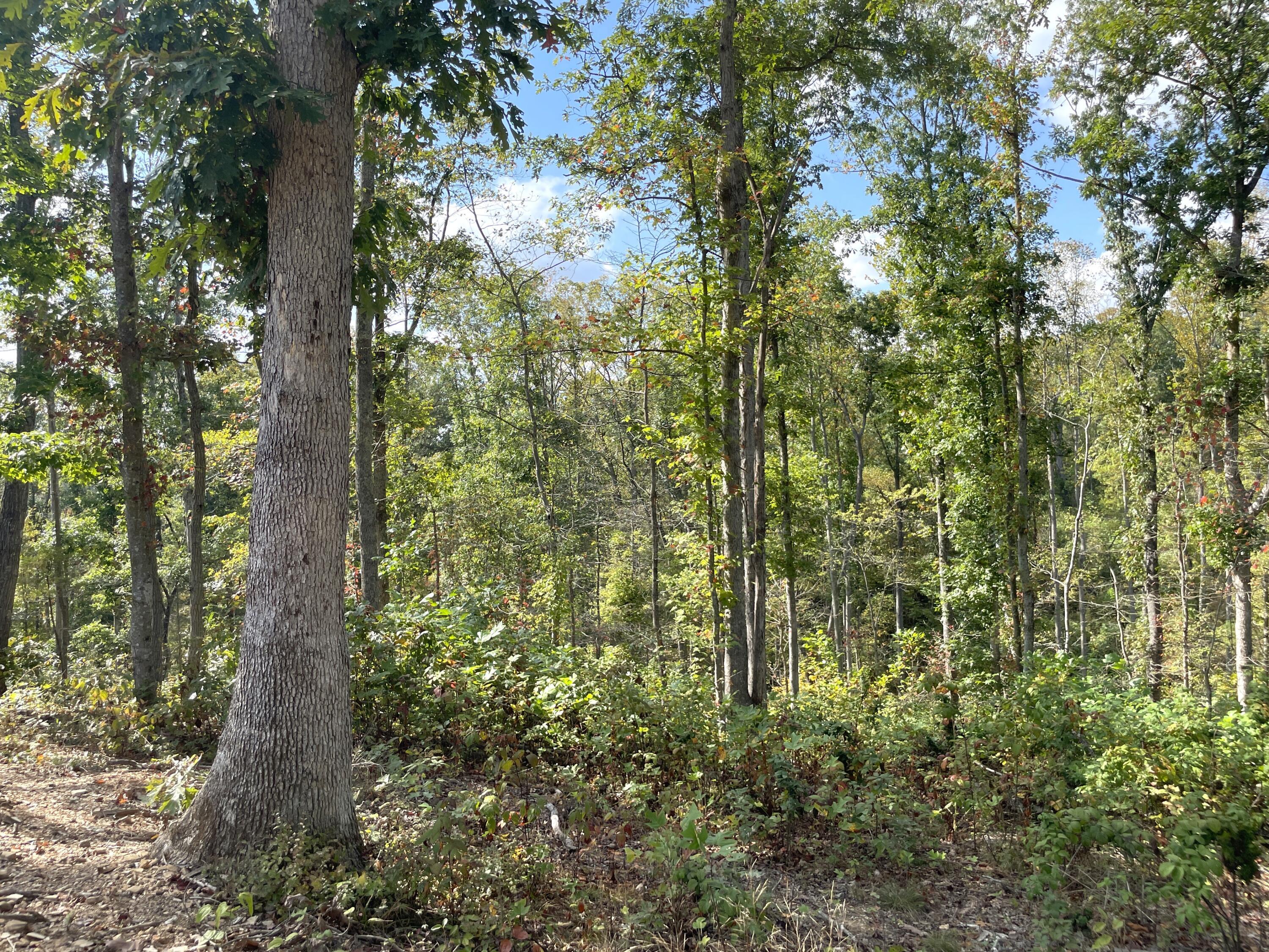 5762 Sr 781 #LOT 7, Peebles, Ohio image 12