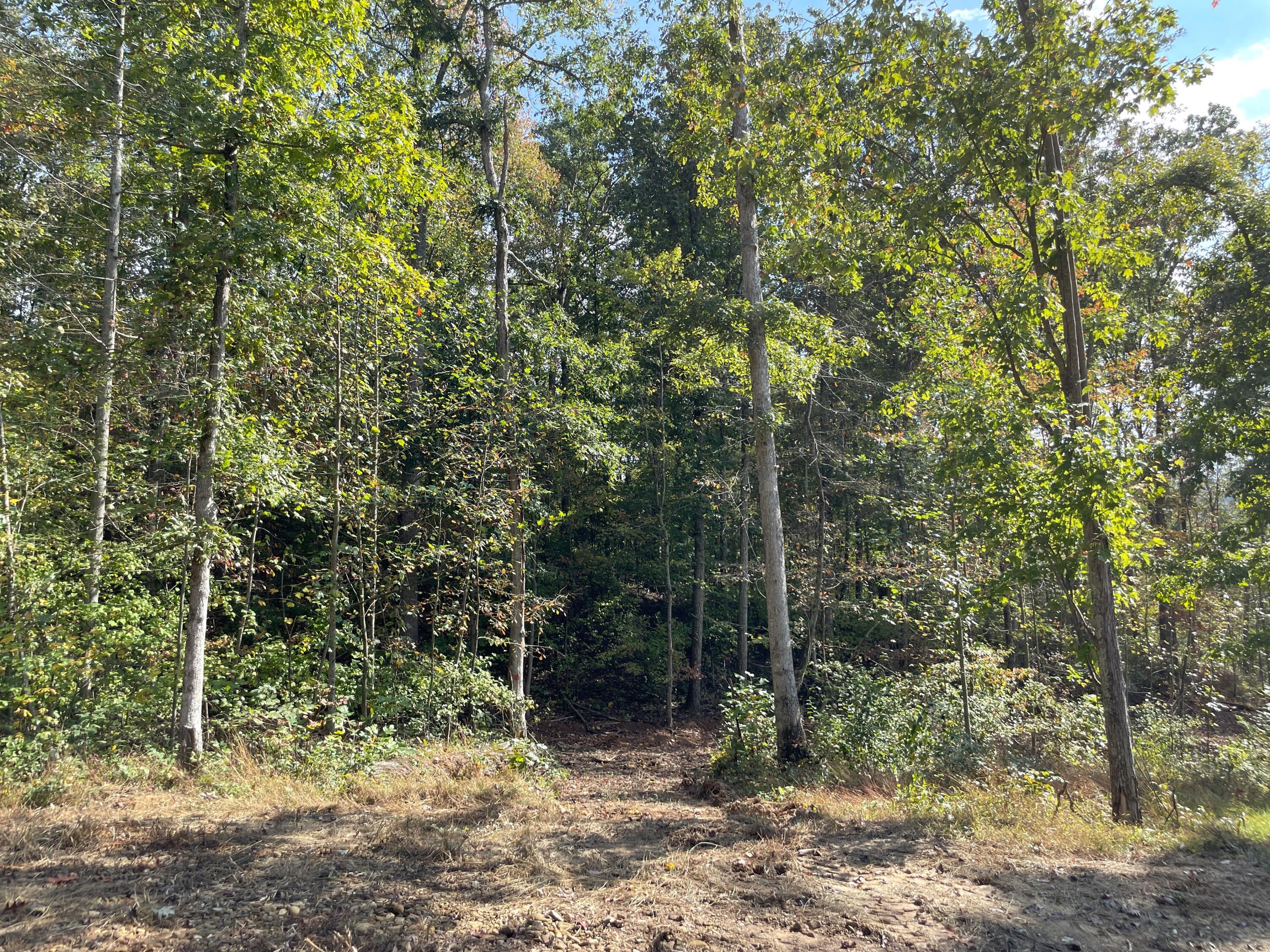 5762 Sr 781 #LOT 7, Peebles, Ohio image 8