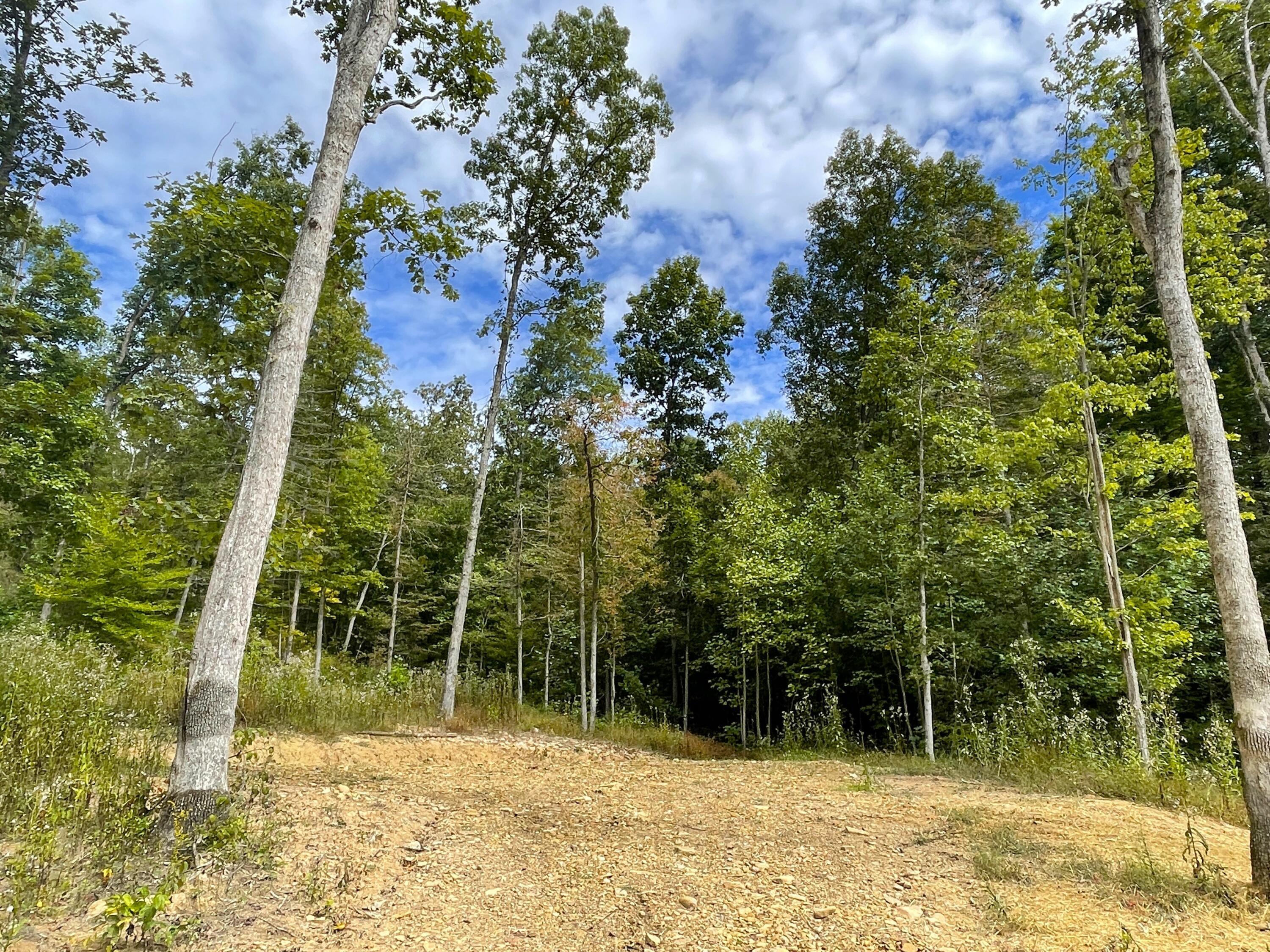 5762 Sr 781 #LOT 7, Peebles, Ohio image 16