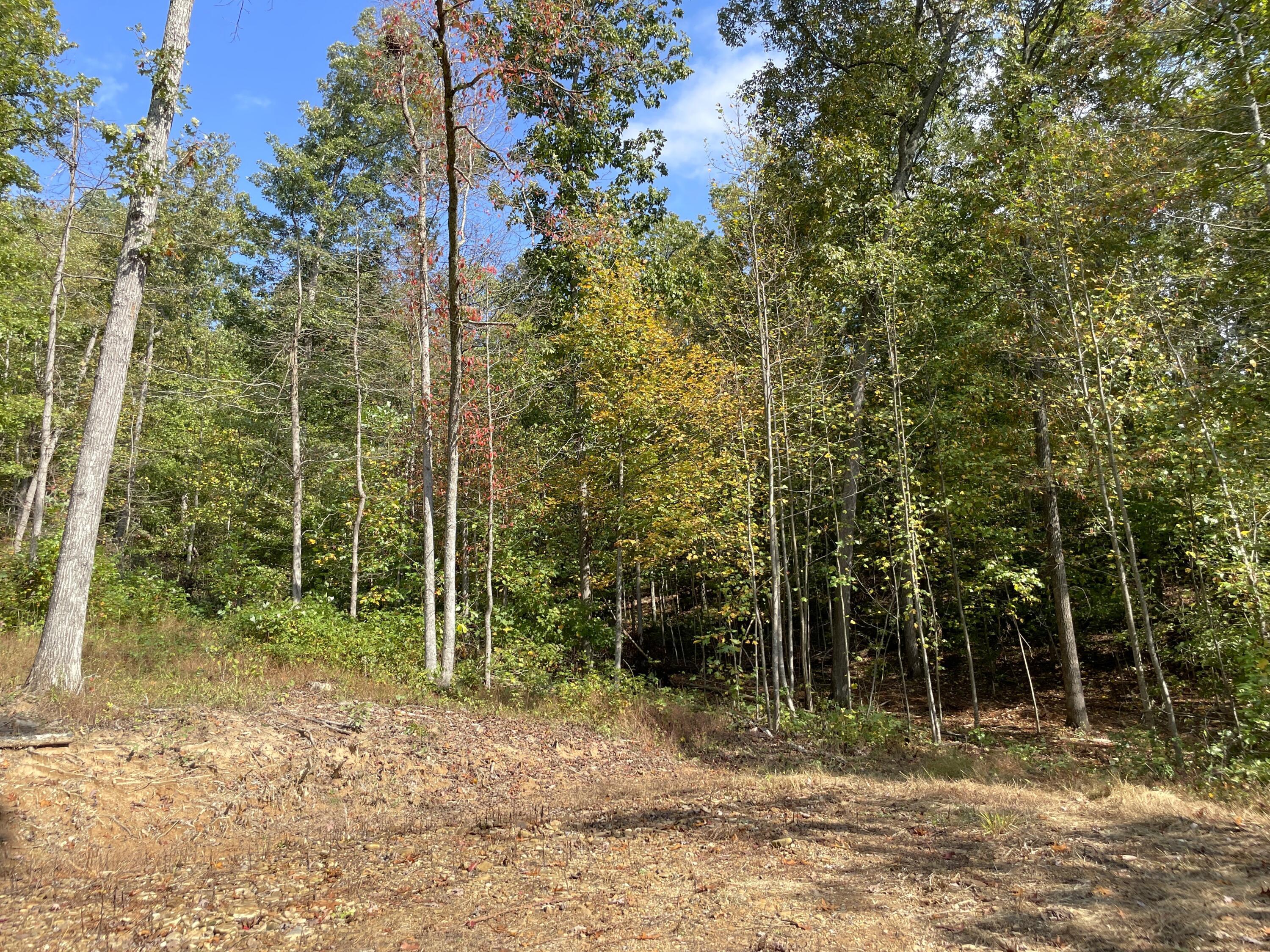 5762 Sr 781 #LOT 7, Peebles, Ohio image 6