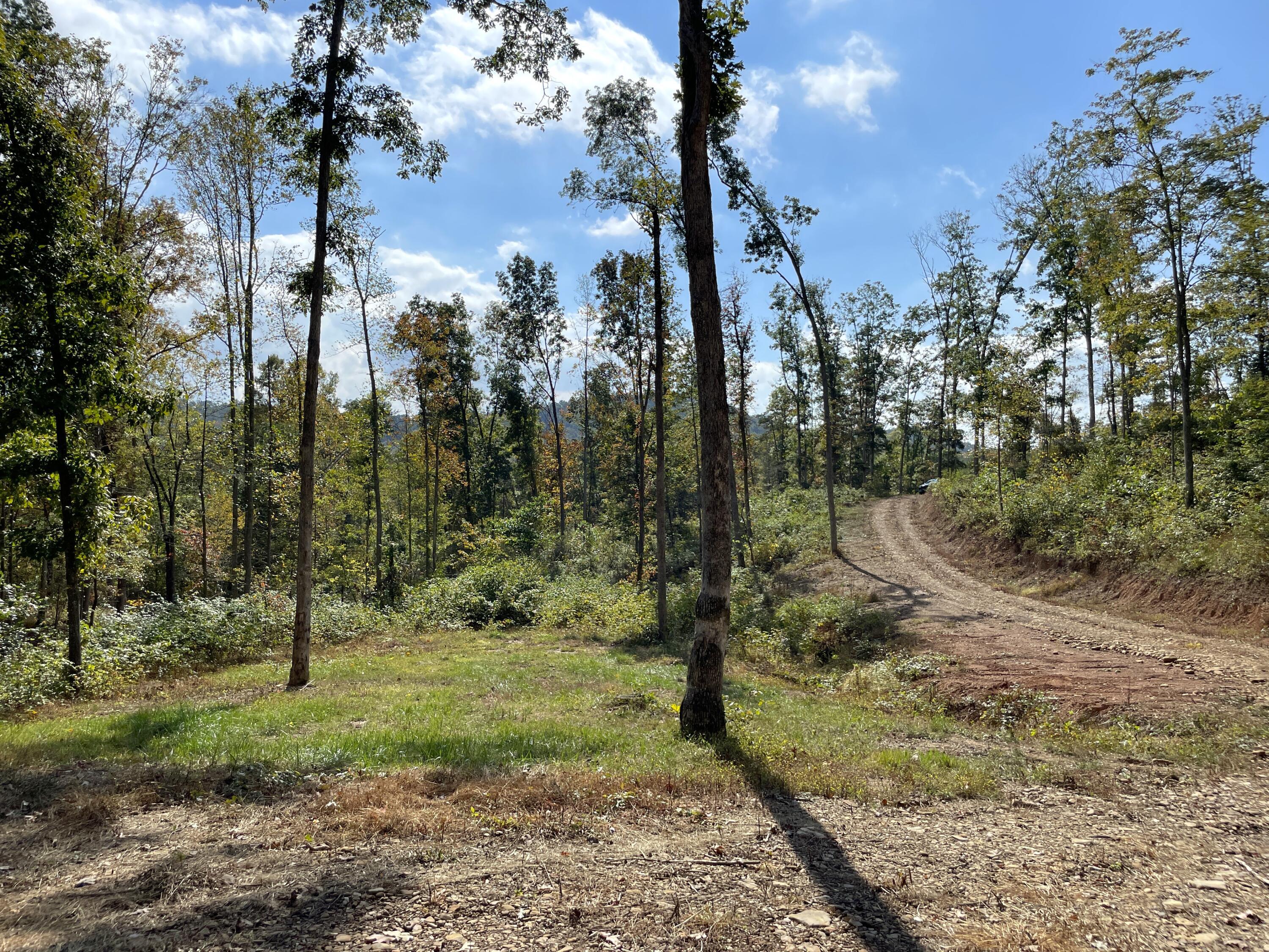 5762 Sr 781 #LOT 7, Peebles, Ohio image 15