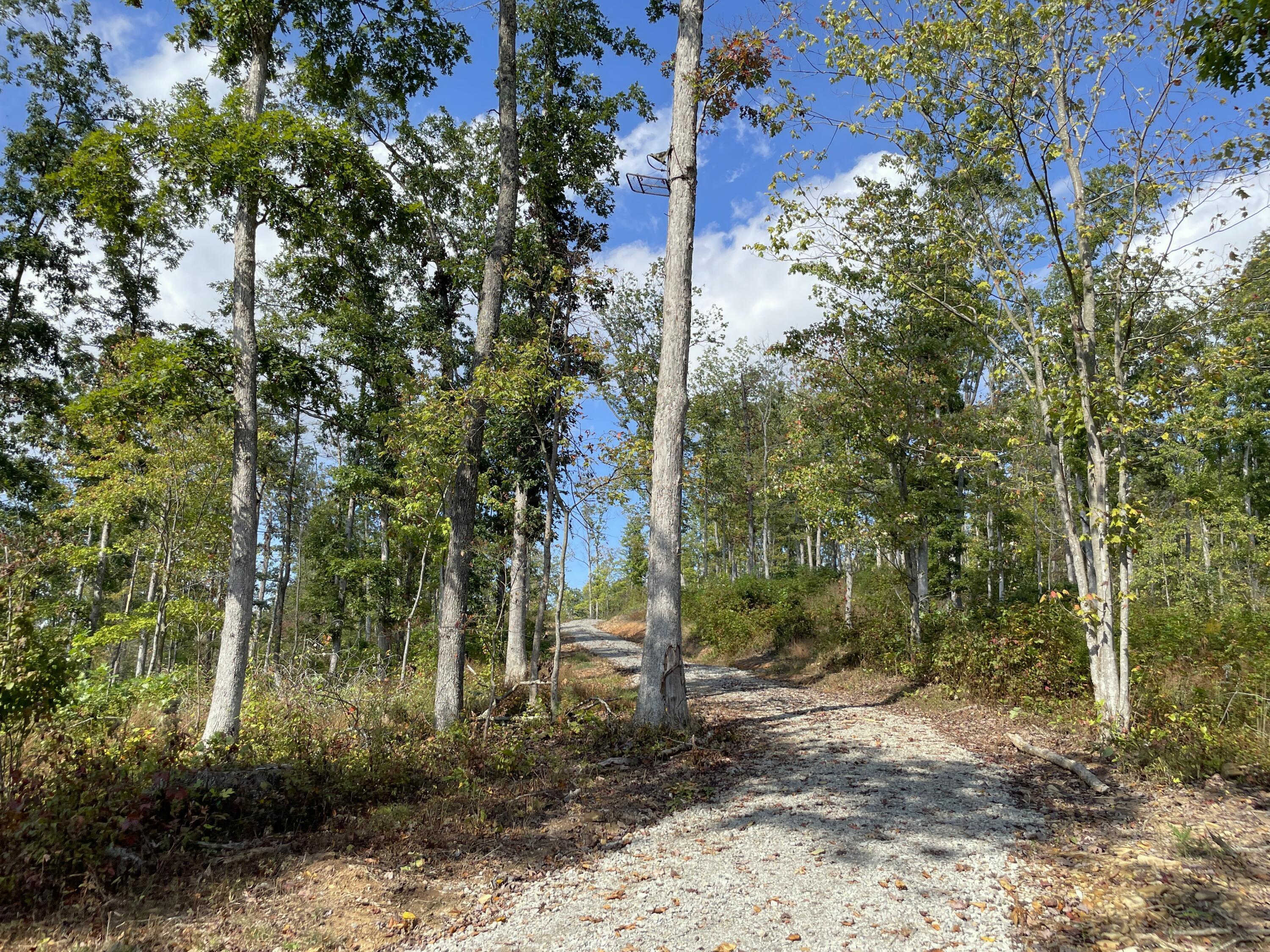 5762 Sr 781 #LOT 7, Peebles, Ohio image 9
