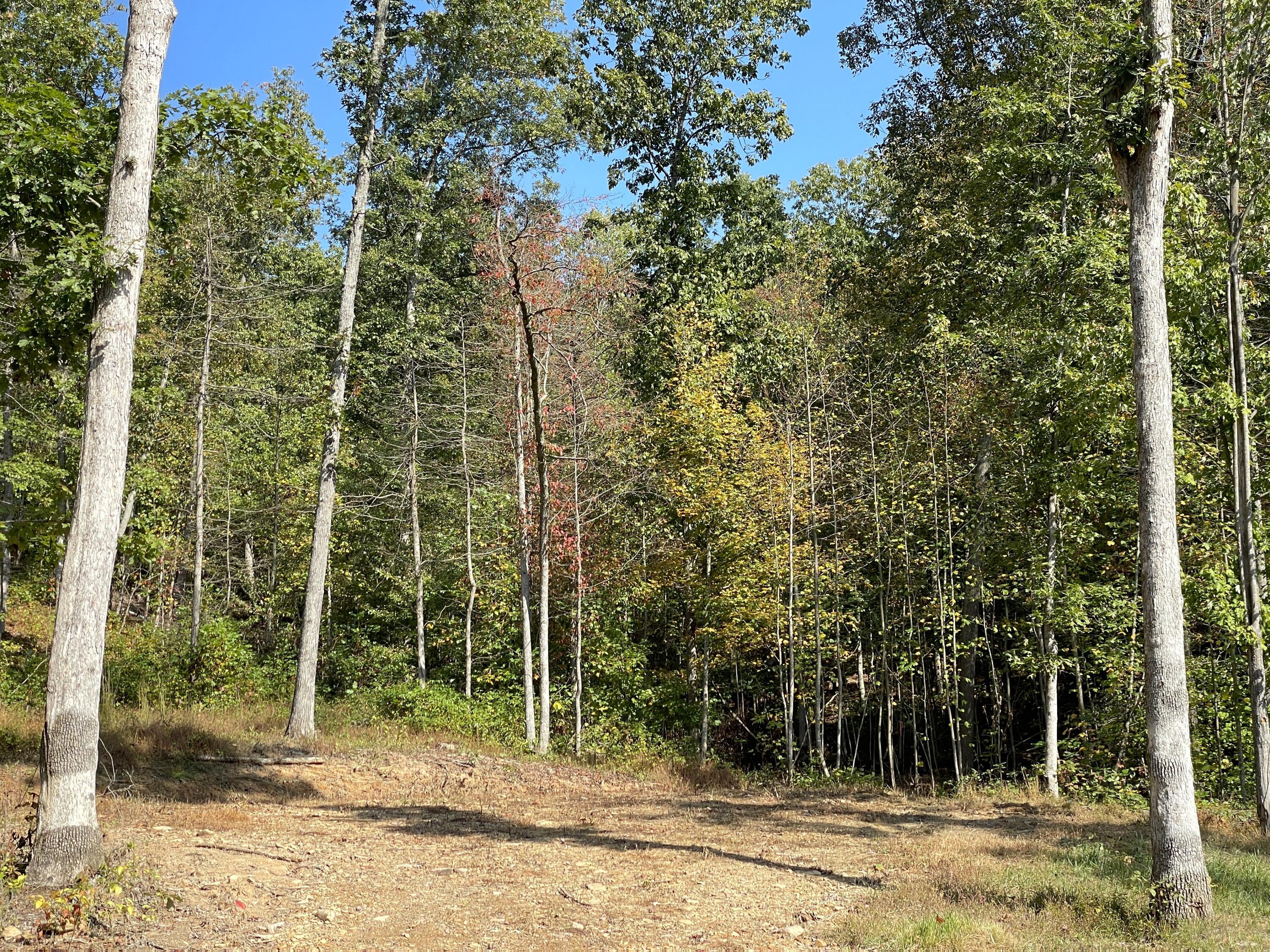5762 Sr 781 #LOT 7, Peebles, Ohio image 11
