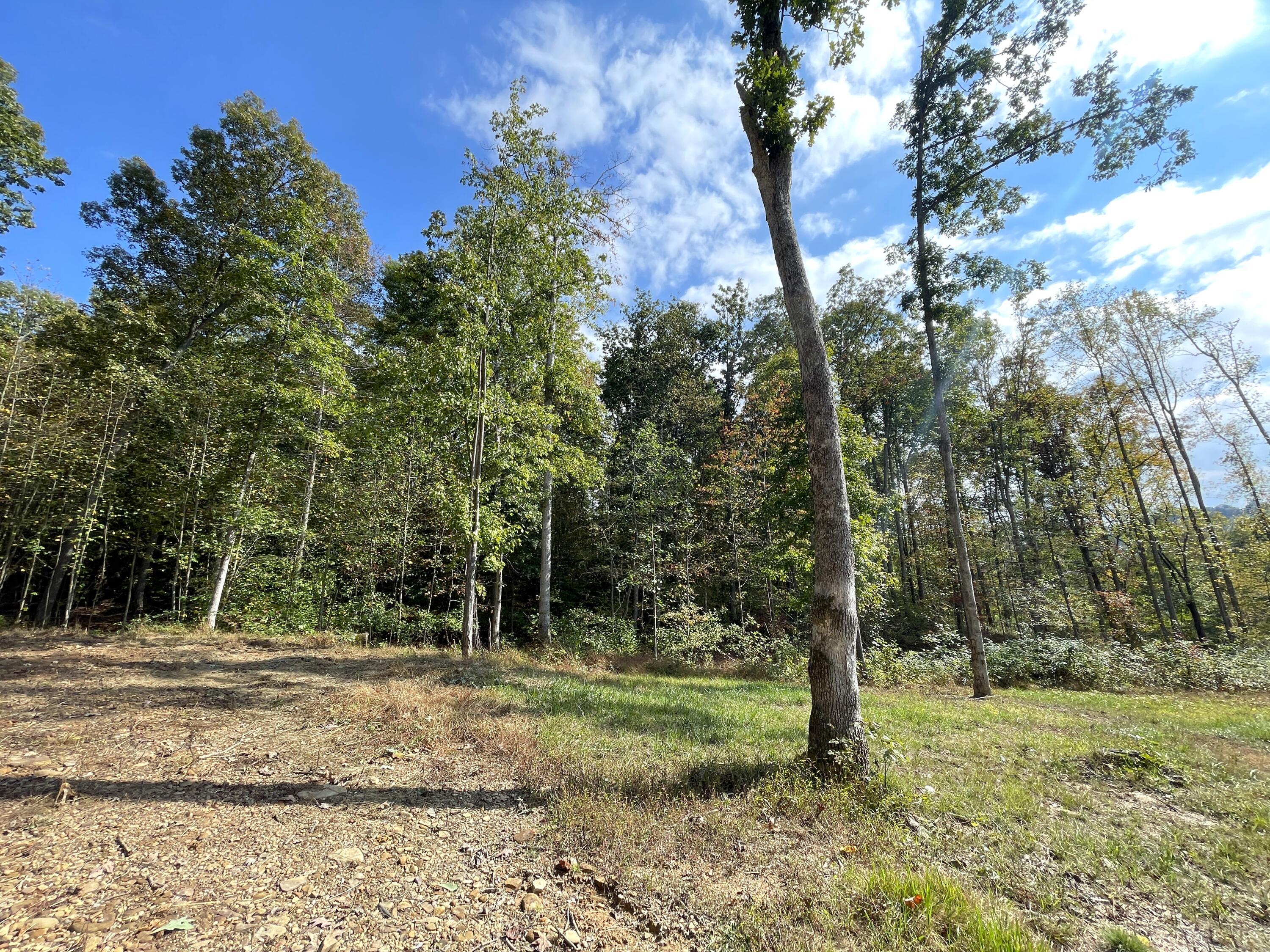 5762 Sr 781 #LOT 7, Peebles, Ohio image 3