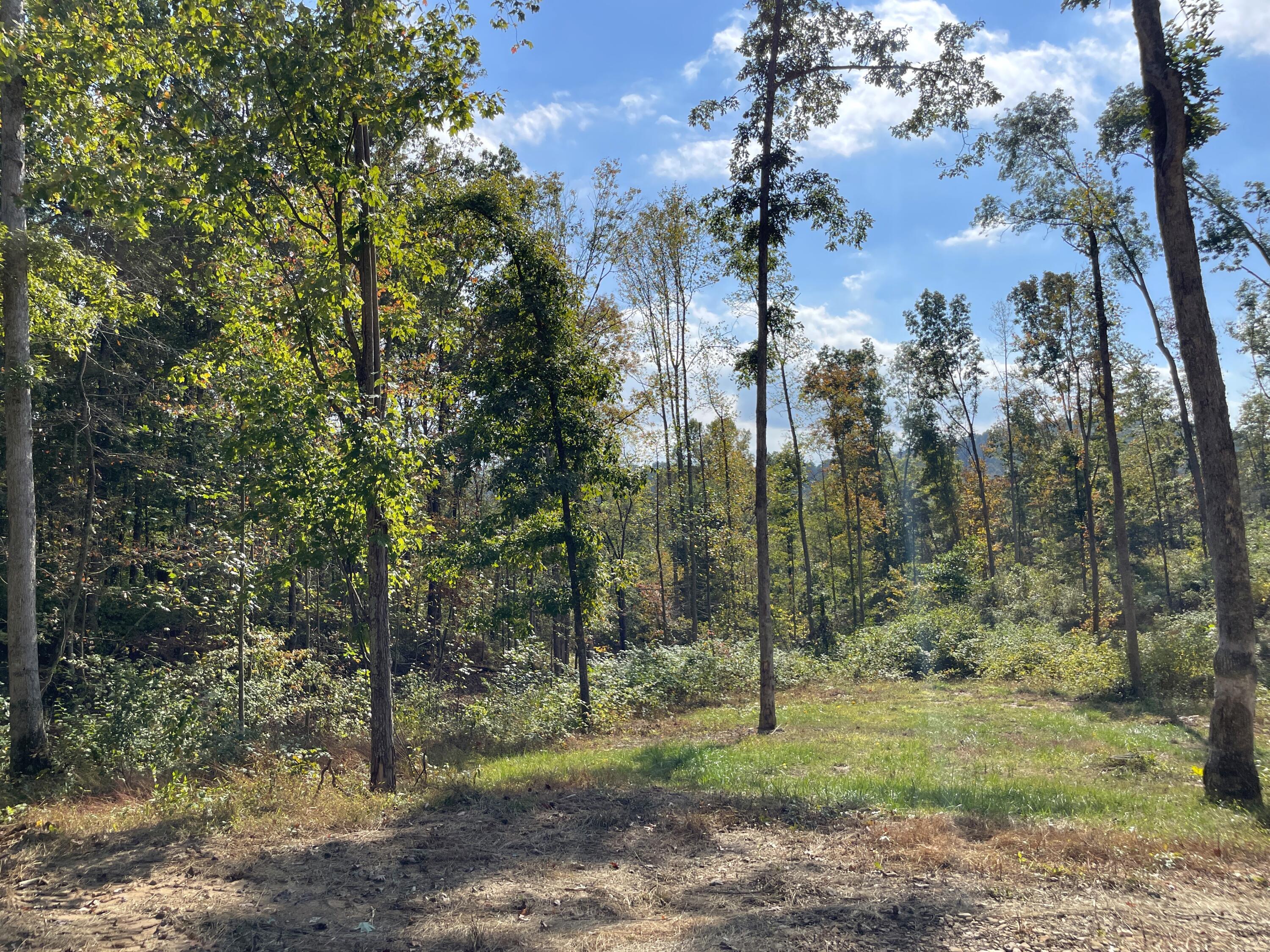 5762 Sr 781 #LOT 7, Peebles, Ohio image 10