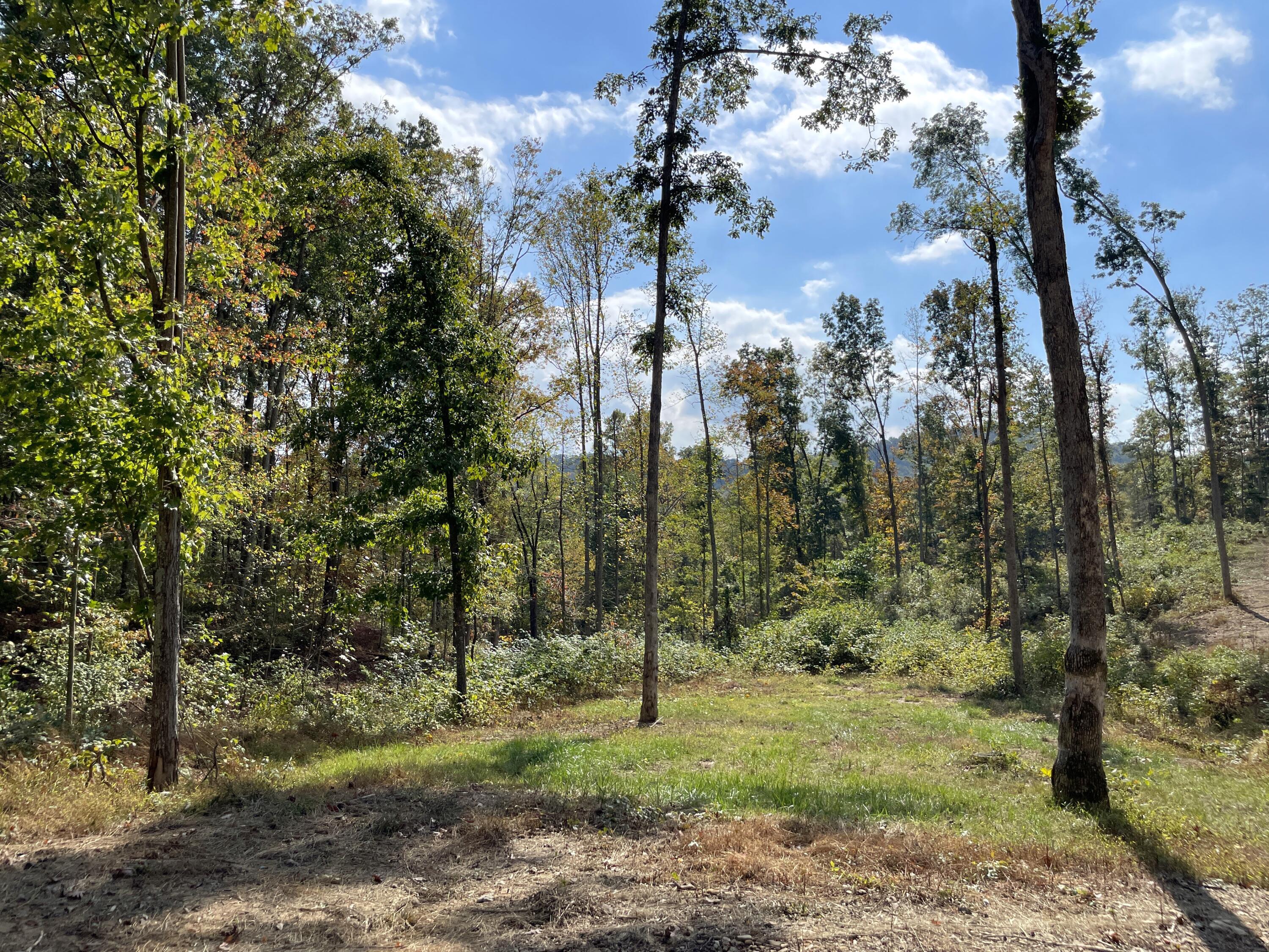 5762 Sr 781 #LOT 7, Peebles, Ohio image 4