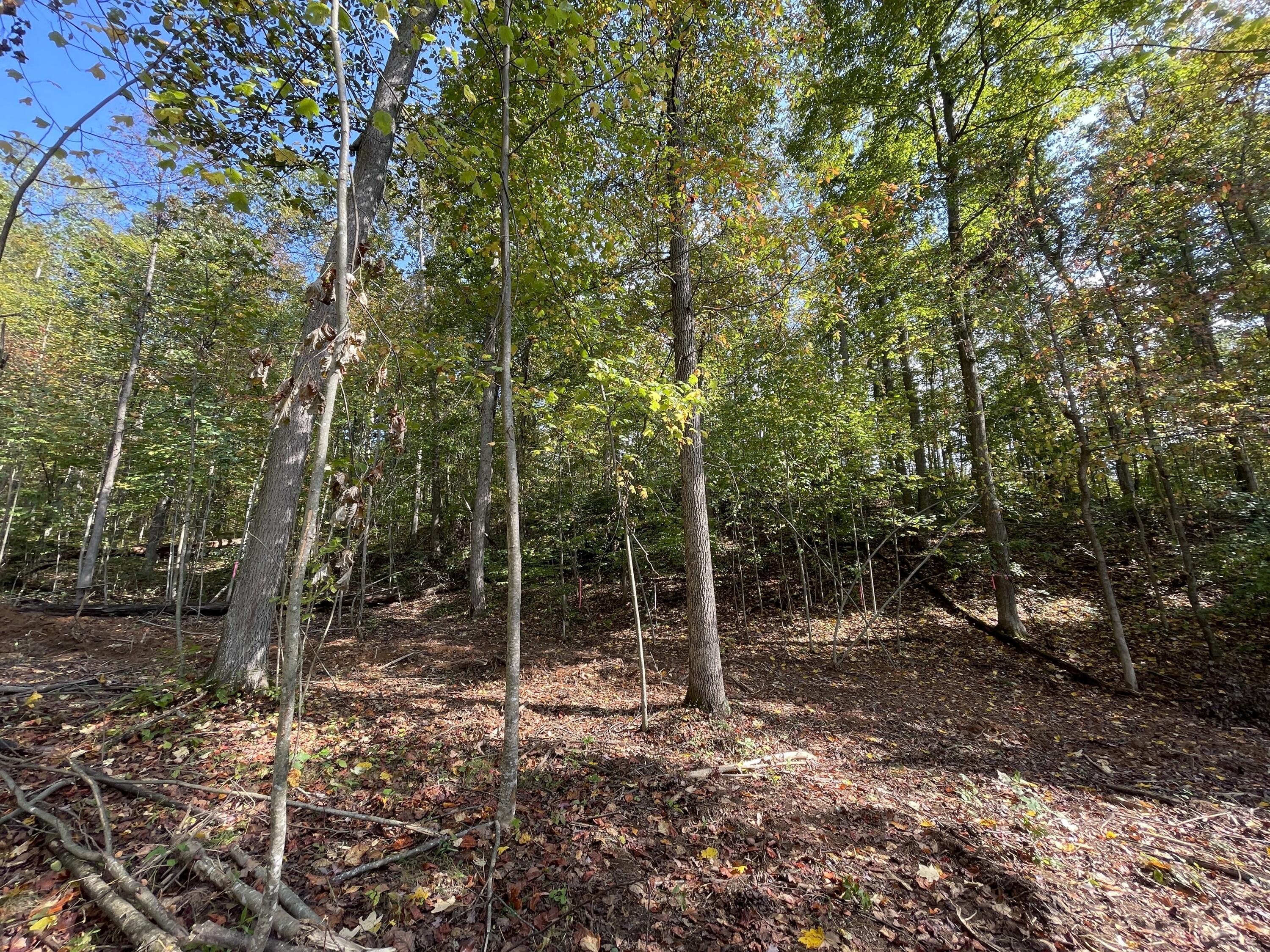 5762 Sr 781 #LOT 7, Peebles, Ohio image 14