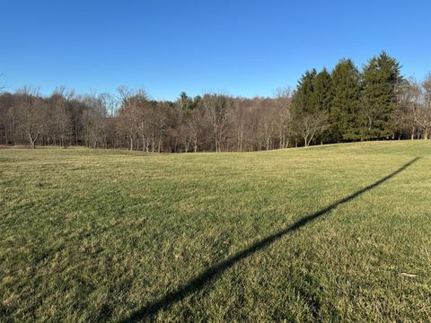 Tiny photo for 0 Lundy's Lane Road NW, Newark, OH 43055 (MLS # 226004842)