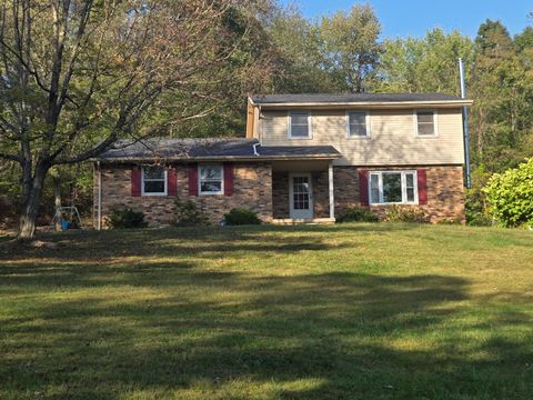 Photo of 10410 Pleasant Valley Road, Frazeysburg, OH 43822 (MLS # 225037098)