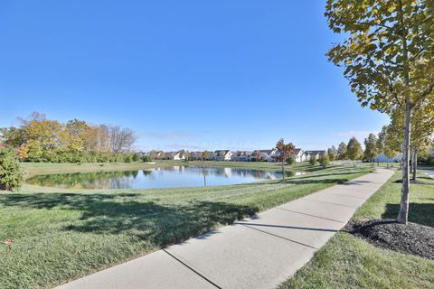 Tiny photo for 6947 Hollyhock Drive, New Albany, OH 43054 (MLS # 225040570)