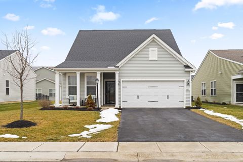 Photo of 6035 Limewood Drive, Westerville, OH 43081 (MLS # 226004704)