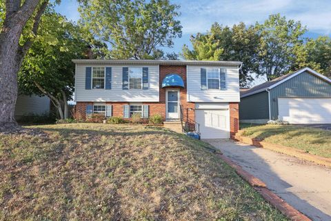 Photo of 4176 Berryfield Drive, Columbus, OH 43230 (MLS # 225037071)
