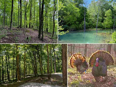 Vacant Land For Sale - Little Kyger Road #LITTLE KYGER TRACT 4<br/> Gallia County, Cheshire, OH 45620
