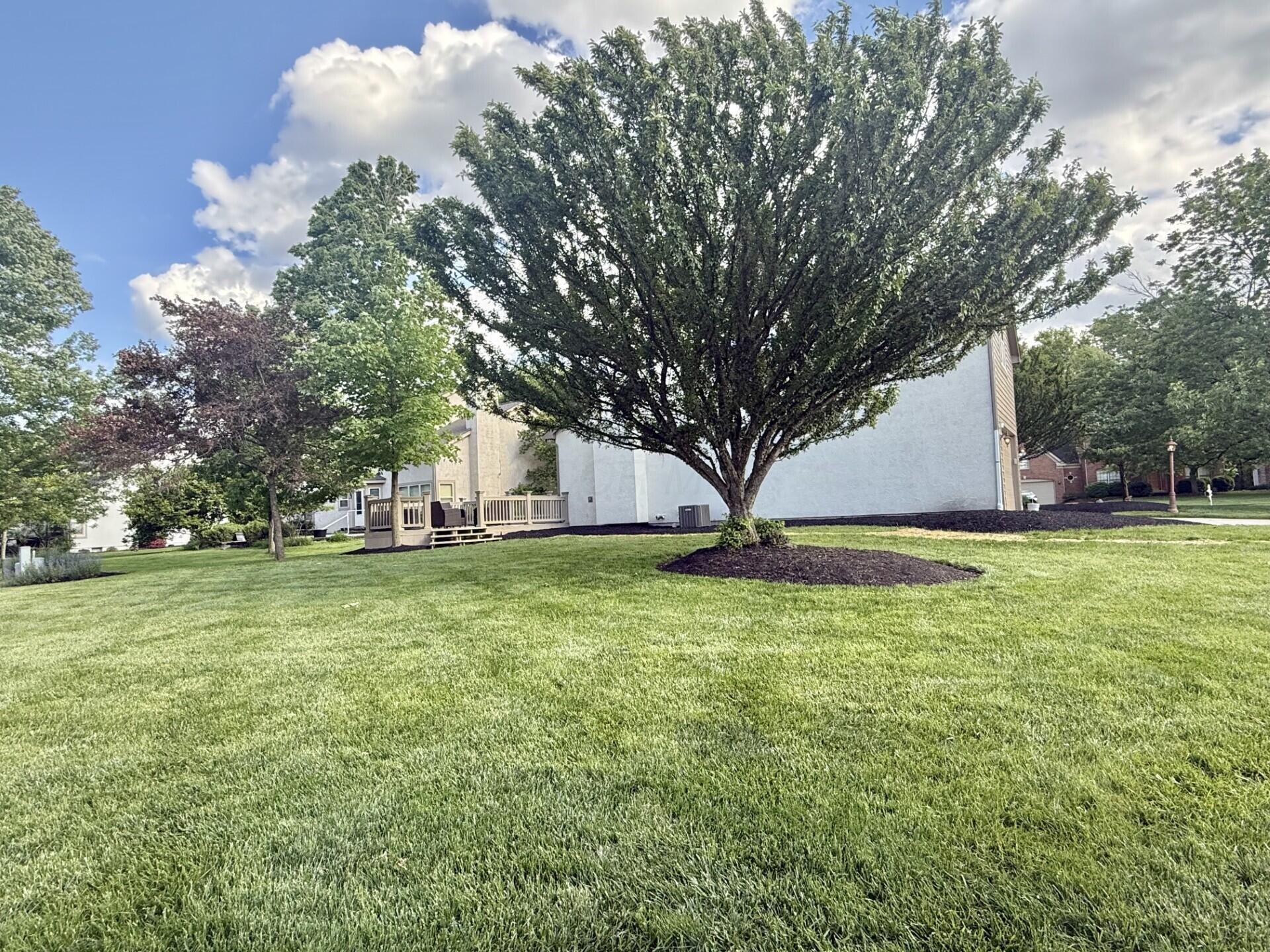 6345 Angeles Drive, Dublin, Ohio image 42