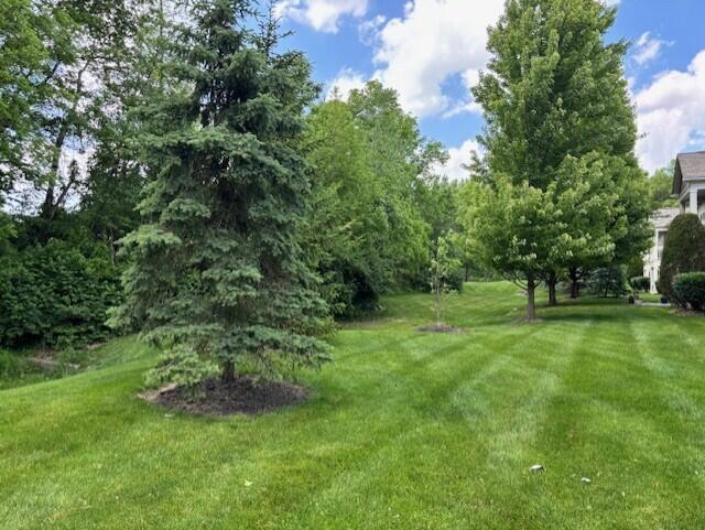 9069 Polaris Lakes Drive