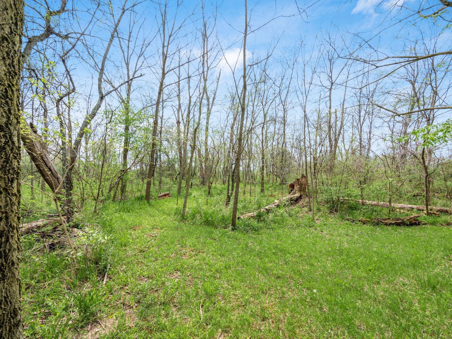 7673 Opossum Run Road, London, Ohio image 48
