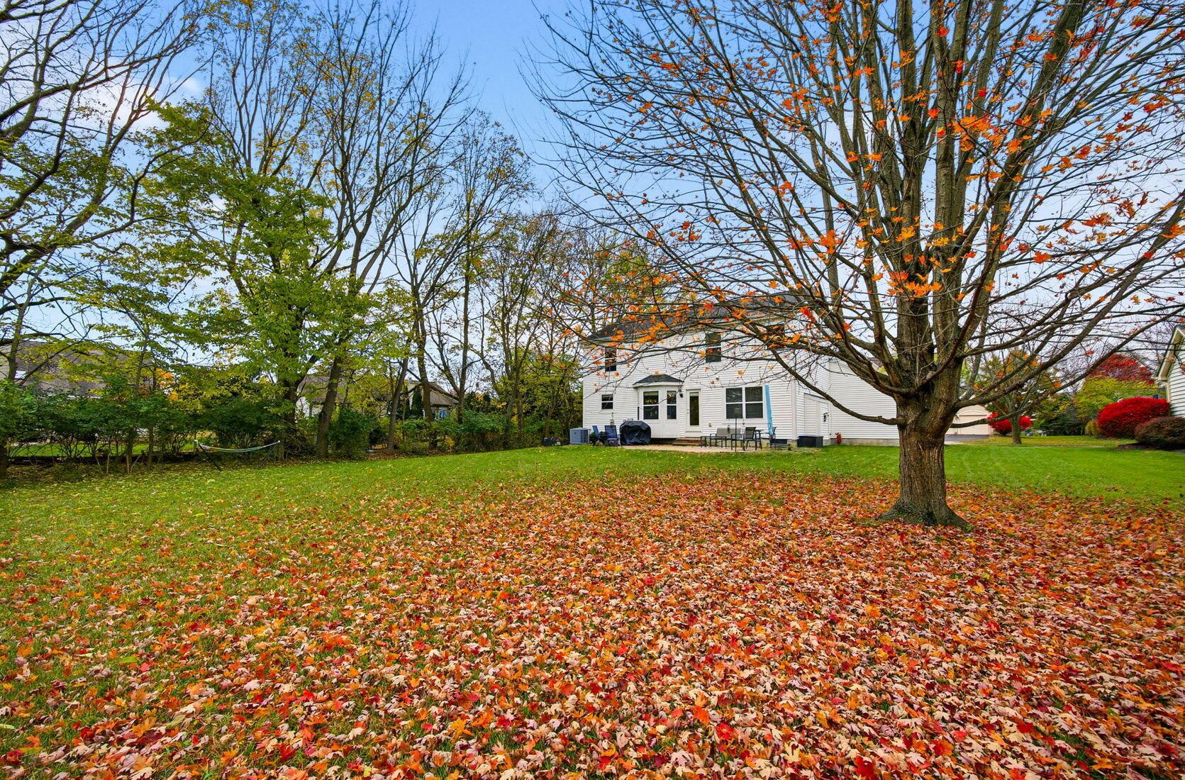 Dublin, Ohio 43016, United States, 4 Bedrooms Bedrooms, ,3 BathroomsBathrooms,Residential,Coming Soon,239806