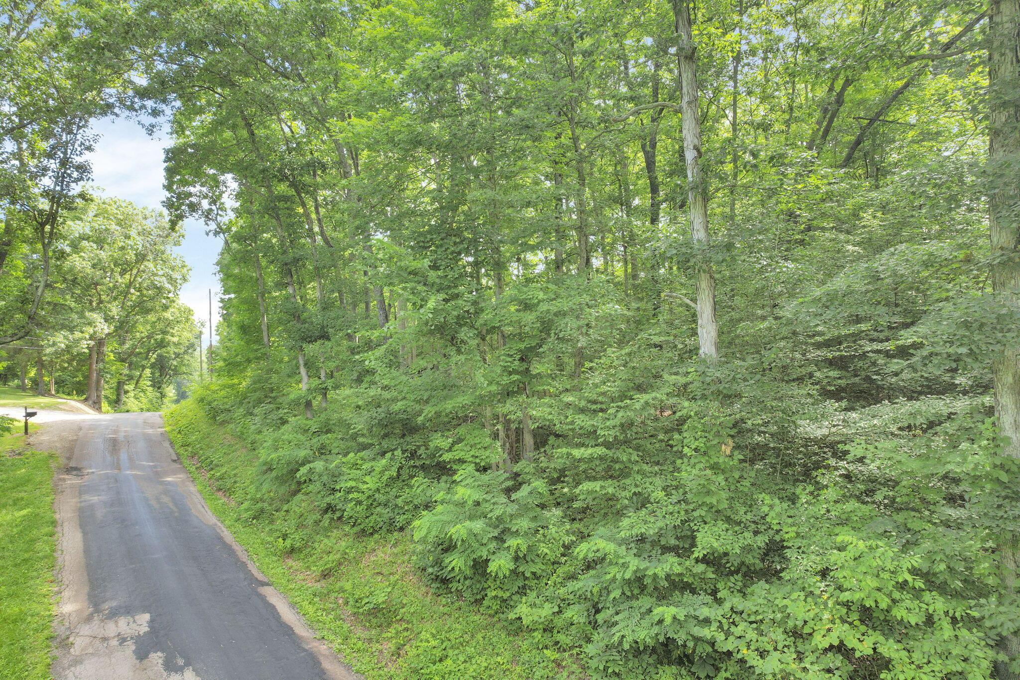 Raysville Road, Wellston, Ohio image 1