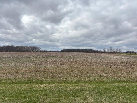 Photo of 0 Marsh Road, Ostrander, OH 43061 (MLS # 226008897)