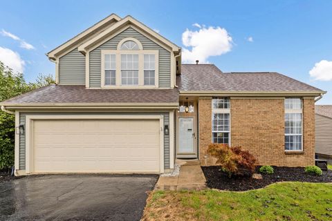 Photo of 4976 Shady Oak Drive, Hilliard, OH 43026 (MLS # 225038279)