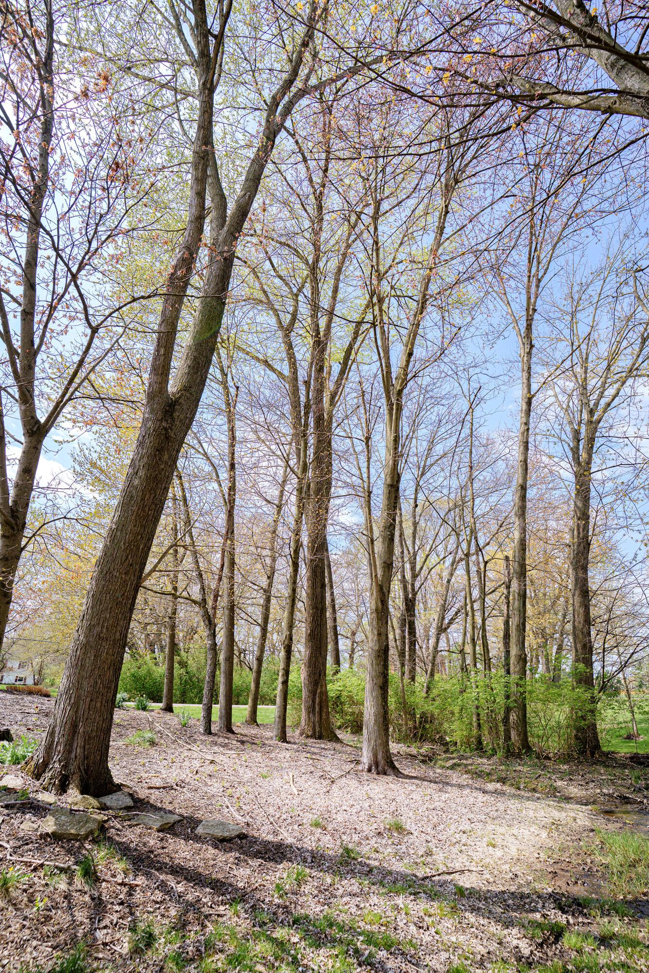 581 Curve Road, Delaware, Ohio image 27