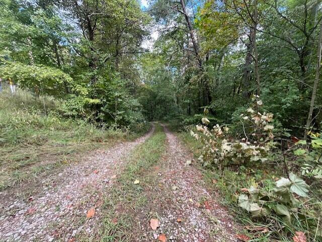 23875 Mathias Road, South Bloomingville, Ohio image 34