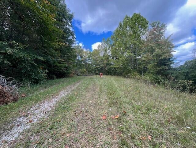 23875 Mathias Road, South Bloomingville, Ohio image 35