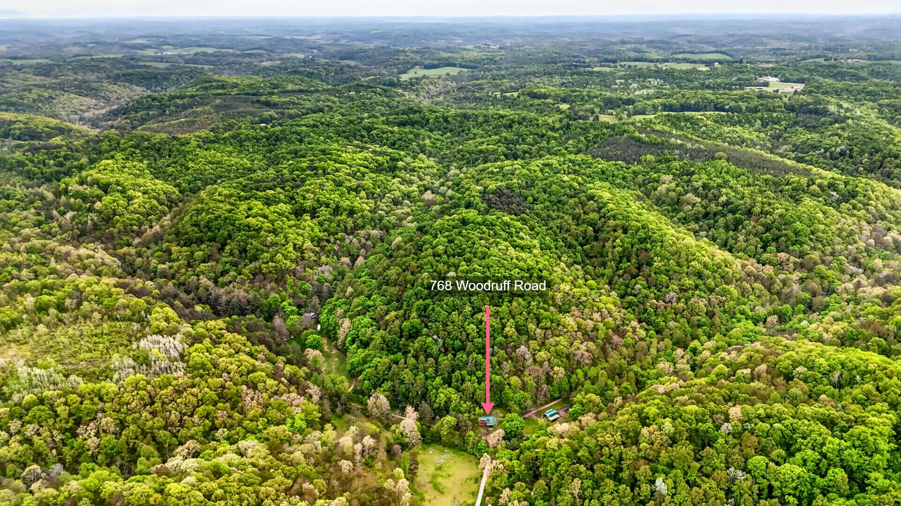 768 Woodruff Road