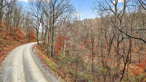 Photo of 0 Jones Road, Vinton, OH 45686 (MLS # 225044717)