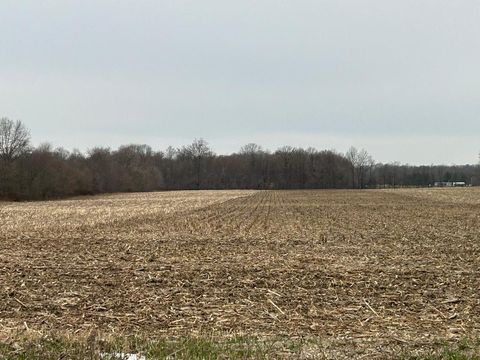 Photo of 0 N County Line Road, Sunbury, OH 43074 (MLS # 226008052)
