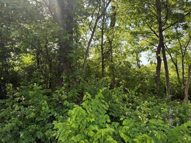 2269 Brookbank Drive
