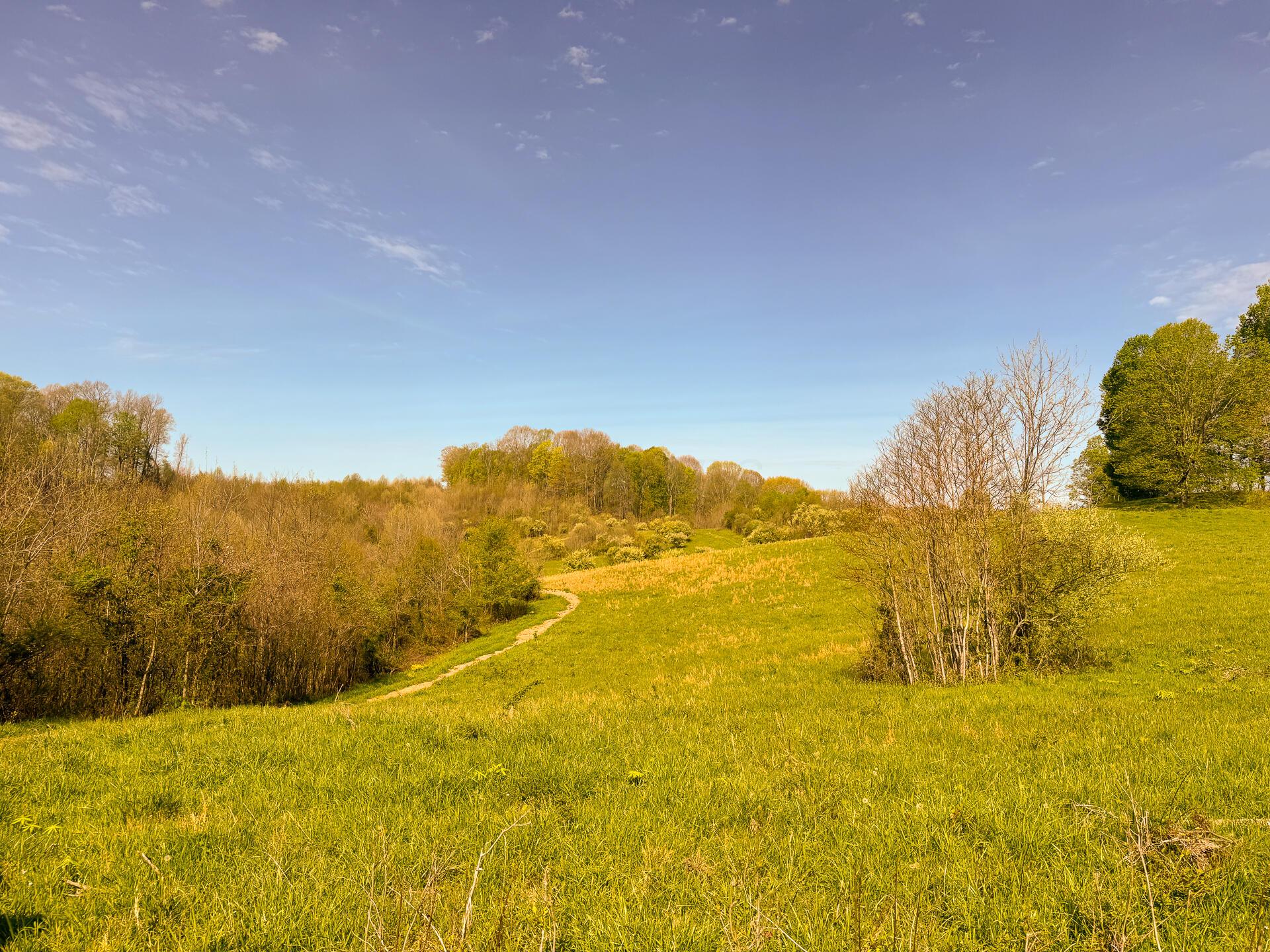 41447 Sr 684 #TRACT 13 ALBANY WOODS, Albany, Ohio image 14