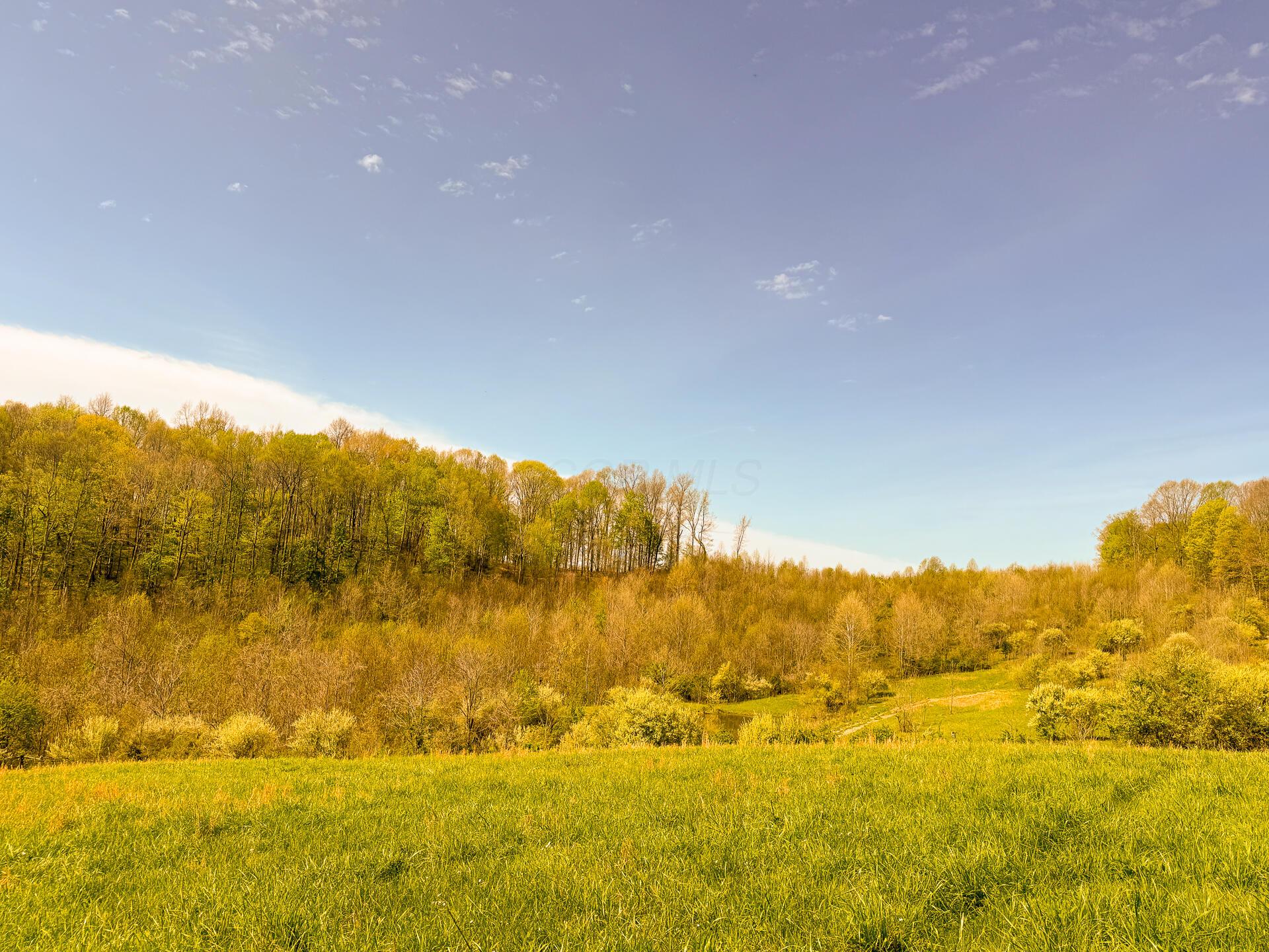 41447 Sr 684 #TRACT 13 ALBANY WOODS, Albany, Ohio image 36
