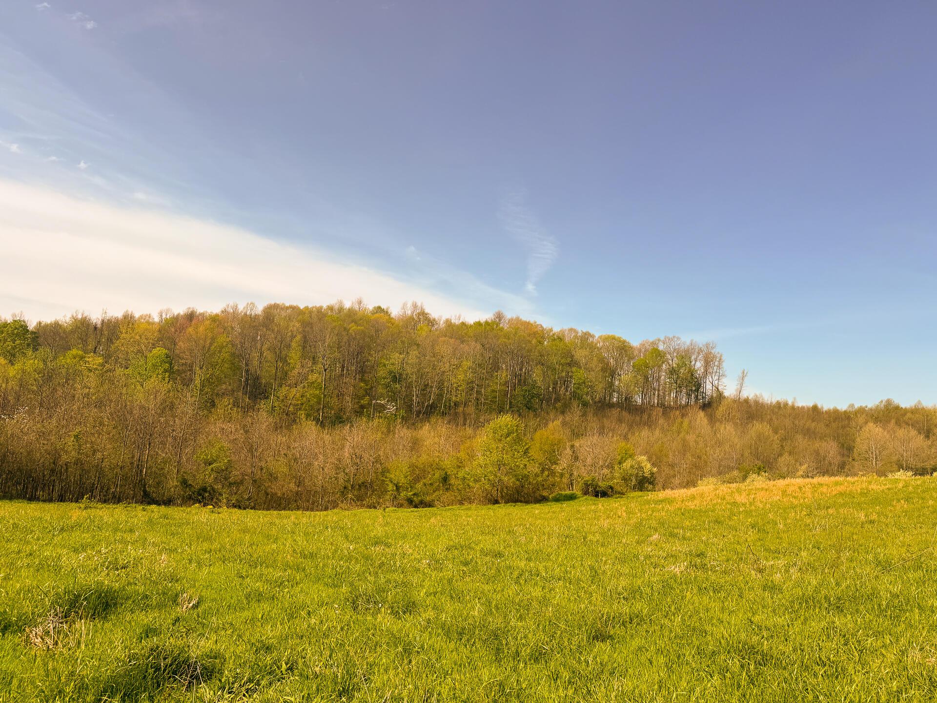 41447 Sr 684 #TRACT 13 ALBANY WOODS, Albany, Ohio image 20