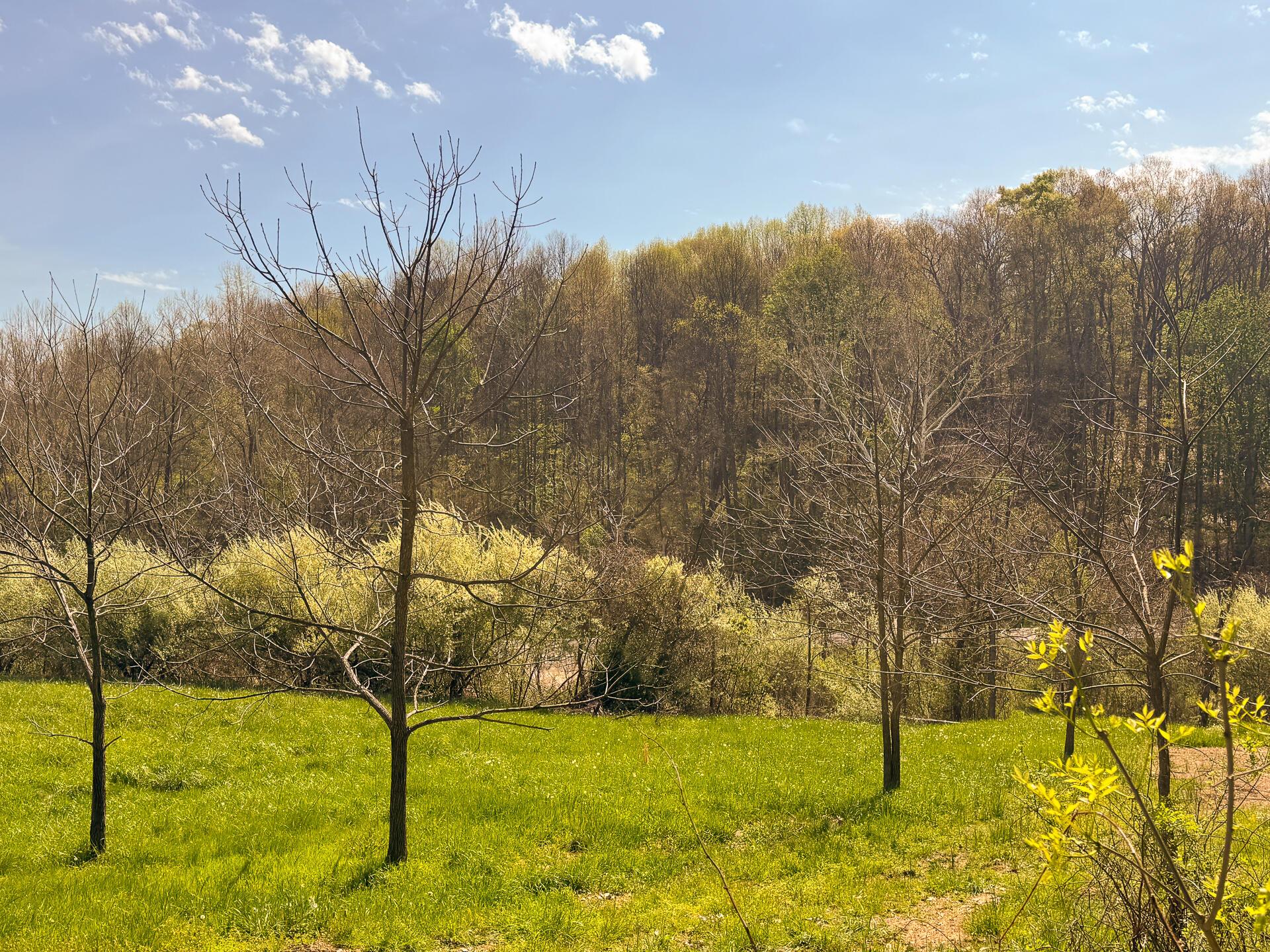 41447 Sr 684 #TRACT 13 ALBANY WOODS, Albany, Ohio image 37